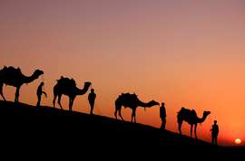 Royal Rajasthan