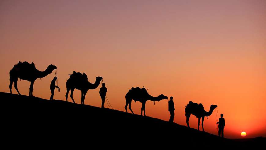 Royal Rajasthan